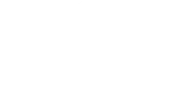 Logo IDO white